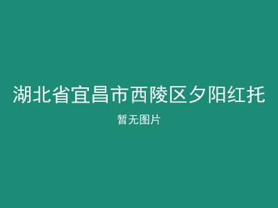 湖北省宜昌市西陵区夕阳红托