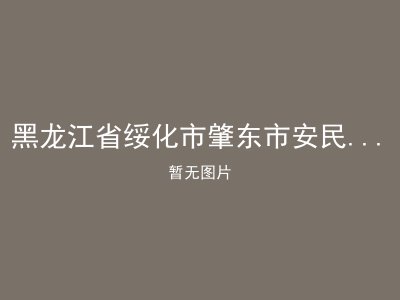 黑龙江省绥化市肇东市安民乡福利收容院