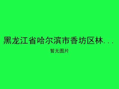黑龙江省哈尔滨市香坊区林凤老年公寓