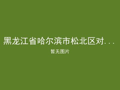 黑龙江省哈尔滨市松北区对青山镇敬老院