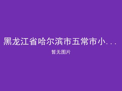 黑龙江省哈尔滨市五常市小山子镇敬老院