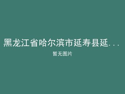 黑龙江省哈尔滨市延寿县延河镇平安敬老院