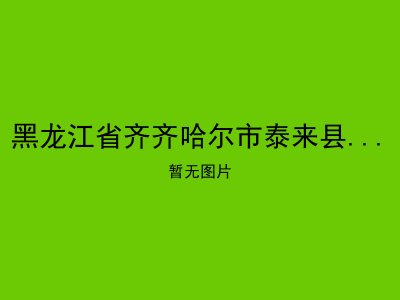 黑龙江省齐齐哈尔市泰来县泰来镇街基敬老院