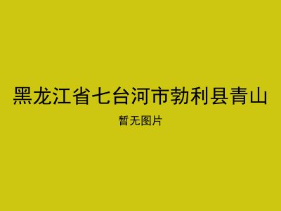 黑龙江省七台河市勃利县青山