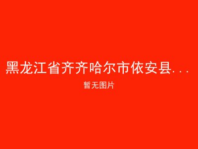 黑龙江省齐齐哈尔市依安县双阳镇敬老院