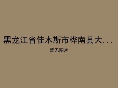 黑龙江省佳木斯市桦南县大八浪乡敬老院