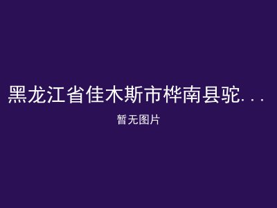 黑龙江省佳木斯市桦南县驼腰子镇敬老院