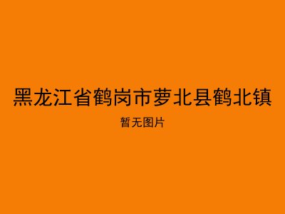 黑龙江省鹤岗市萝北县鹤北镇