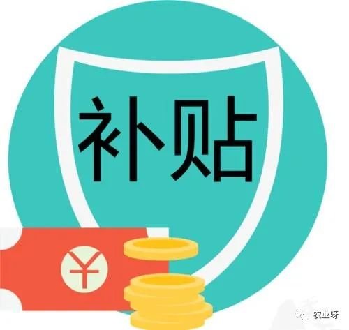 黑龙江省大庆市萨尔图区爱心托老所