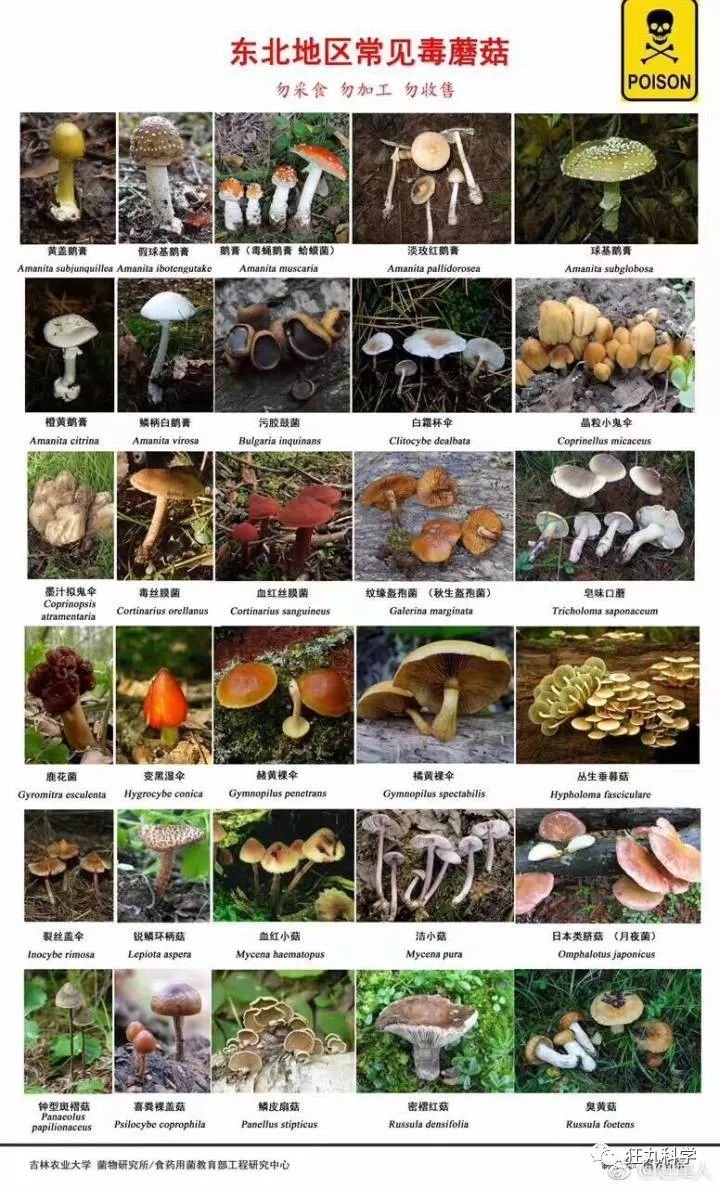 黑龙江省齐齐哈尔市龙江县广厚乡敬老院