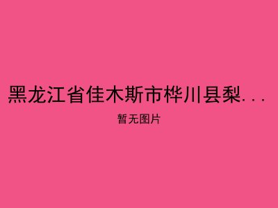 黑龙江省佳木斯市桦川县梨丰乡敬老院