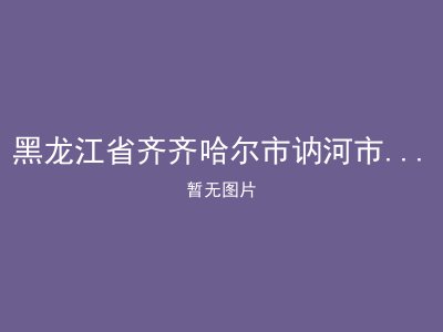 黑龙江省齐齐哈尔市讷河市友好乡敬老院