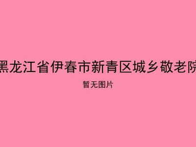 黑龙江省伊春市新青区城乡敬老院