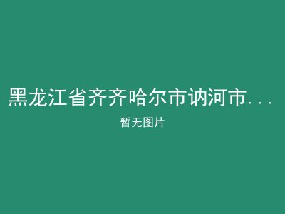 黑龙江省齐齐哈尔市讷河市同义镇敬老院