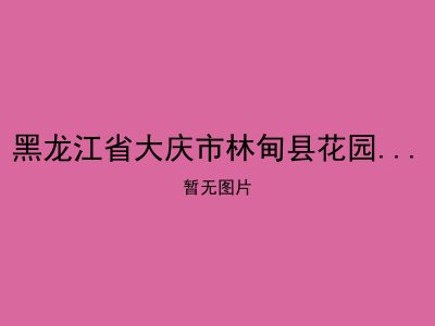 黑龙江省大庆市林甸县花园乡敬老院