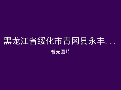 黑龙江省绥化市青冈县永丰镇敬老院