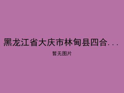 黑龙江省大庆市林甸县四合乡敬老院