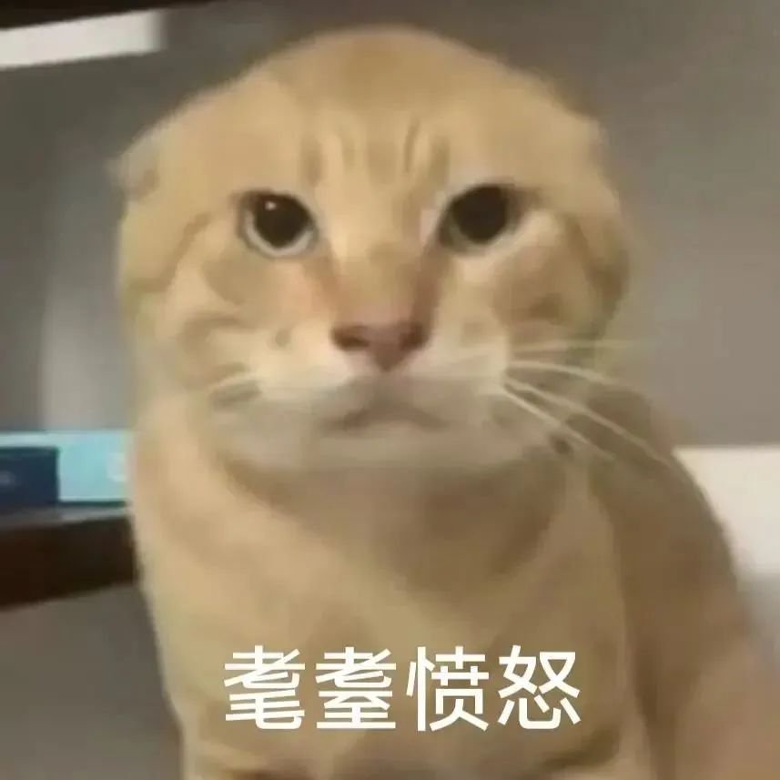河南省开封市鼓楼区金太阳颐养康复中心