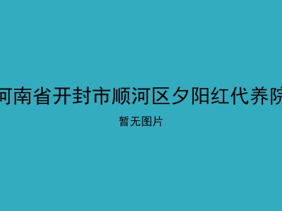 河南省开封市顺河区夕阳红代养院