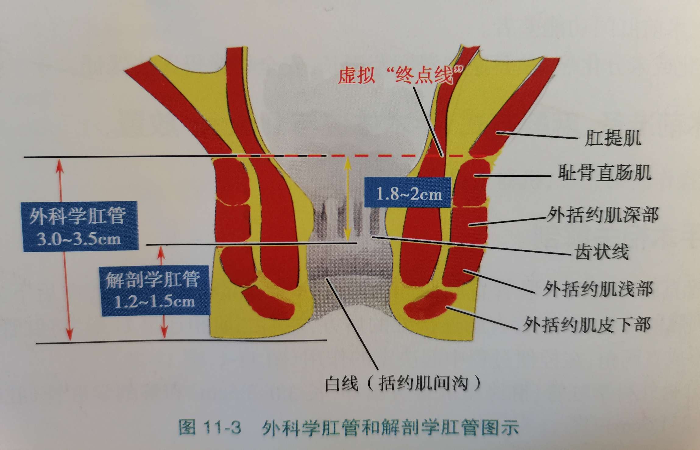 河北省秦皇岛市海港区北环路街道办事处建新里居家养老服务站