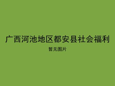 广西河池地区都安县社会福利