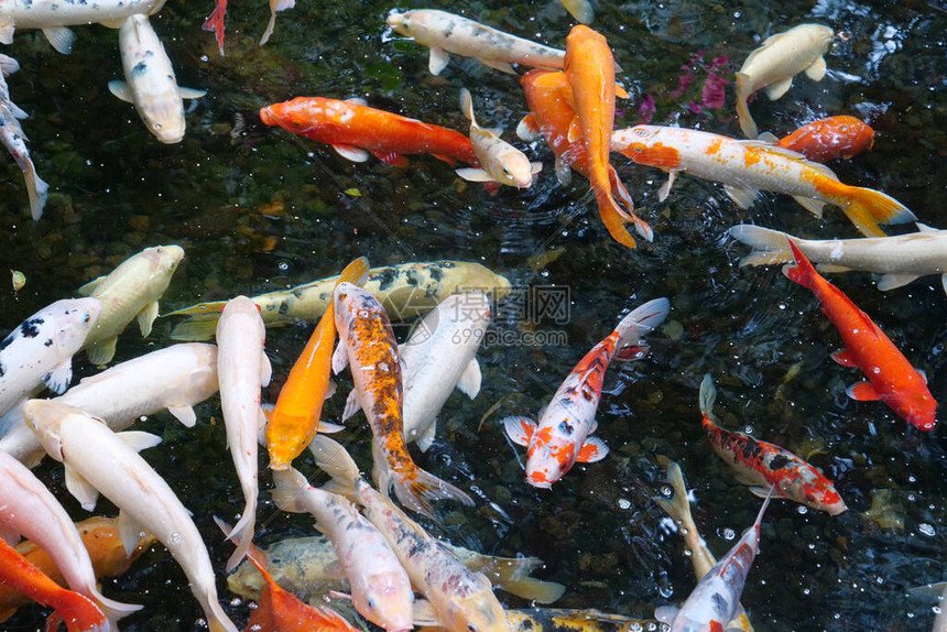 广西北海市社会福利院