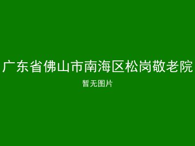 广东省佛山市南海区松岗敬老院