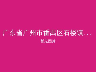 广东省广州市番禺区石楼镇岳溪村颐养院