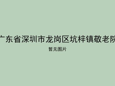 广东省深圳市龙岗区坑梓镇敬老院