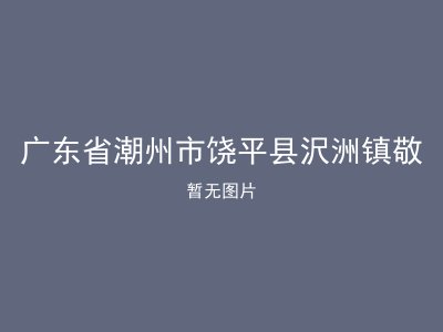 广东省潮州市饶平县沢洲镇敬