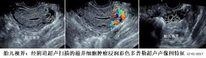广东省湛江市遂溪县遂城镇敬