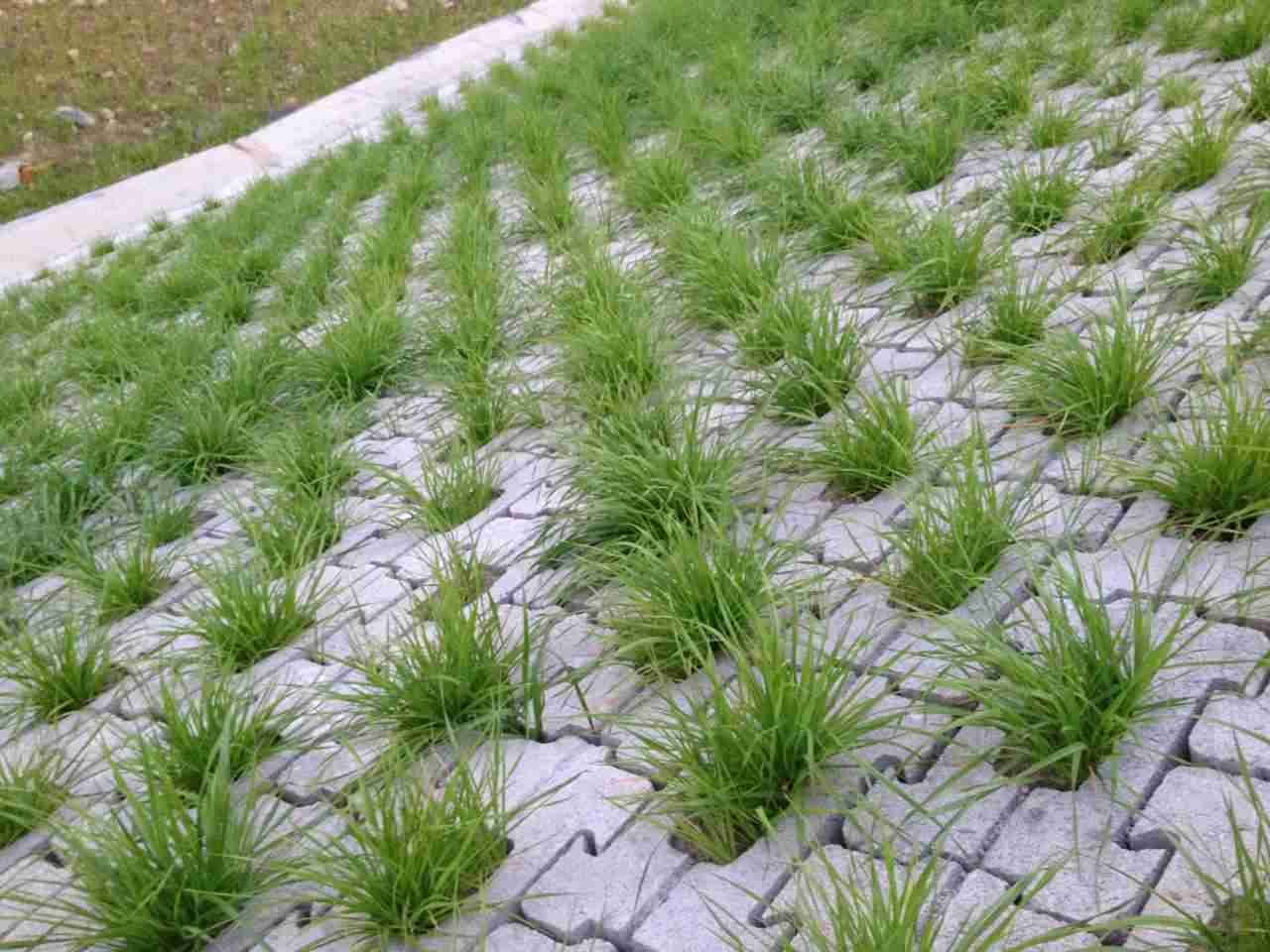 广东省珠海市金湾区南水镇敬老院