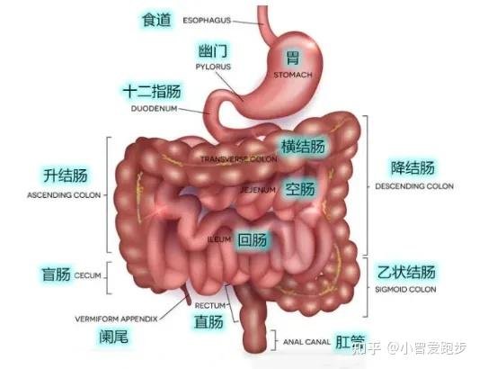 广东省揭阳市惠来县葵潭镇敬