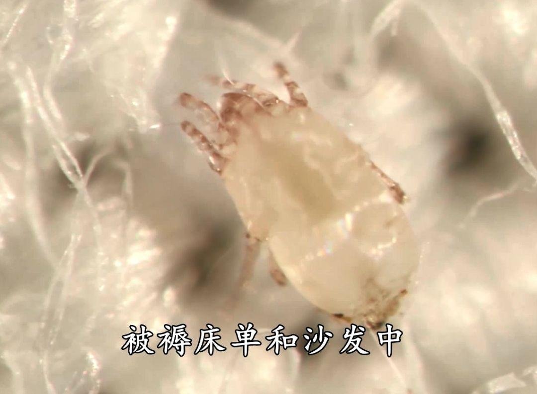 广东省云浮市新兴县河头镇敬老院