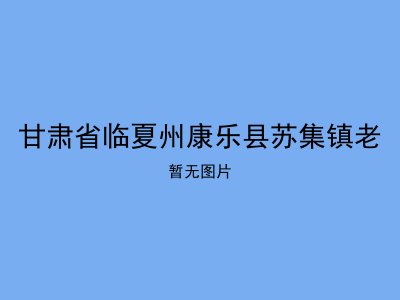 甘肃省临夏州康乐县苏集镇老