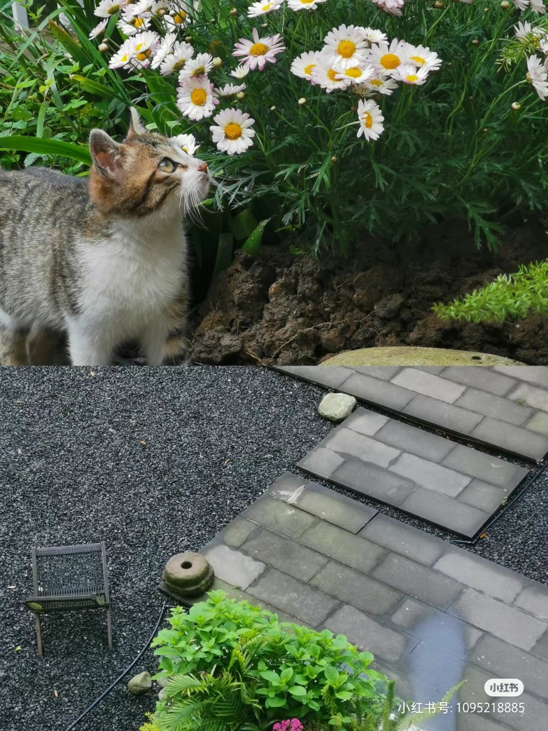 福建省三明市尤溪县洋中后楼