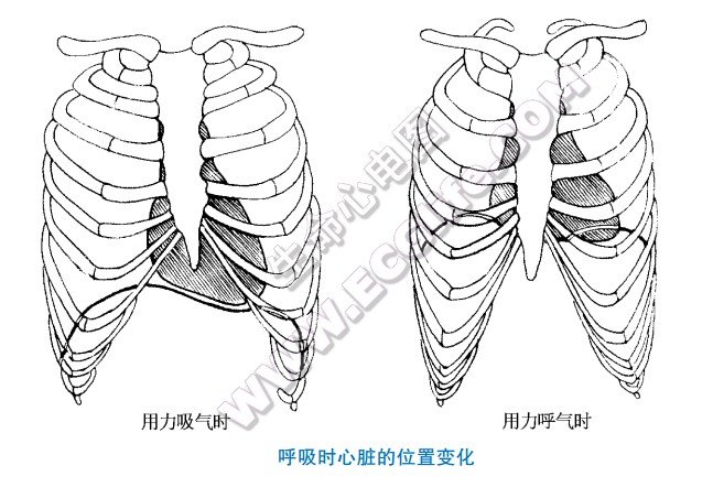 福建省厦门市思明区松鹤疗养院