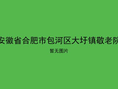 安徽省合肥市包河区大圩镇敬老院