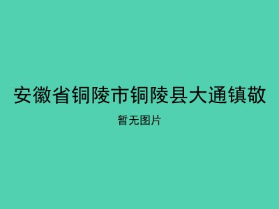 安徽省铜陵市铜陵县大通镇敬