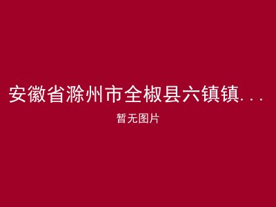 安徽省滁州市全椒县六镇镇白酒敬老院