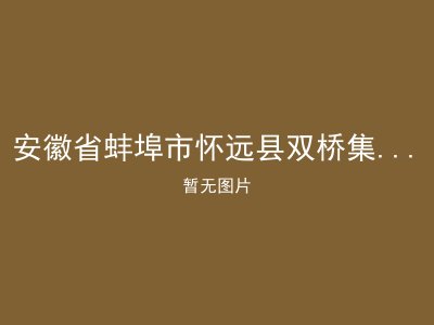 安徽省蚌埠市怀远县双桥集镇双桥敬老院