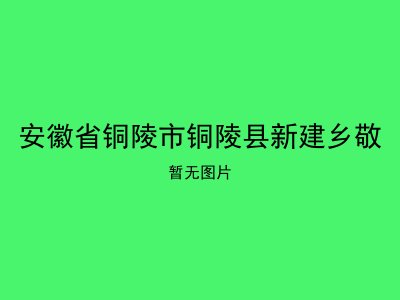 安徽省铜陵市铜陵县新建乡敬