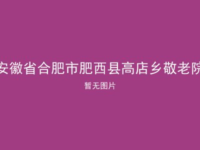 安徽省合肥市肥西县高店乡敬老院
