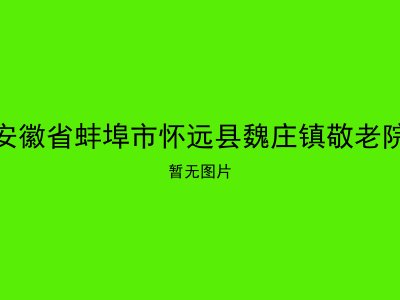 安徽省蚌埠市怀远县魏庄镇敬老院