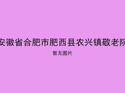 安徽省合肥市肥西县农兴镇敬老院