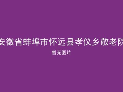 安徽省蚌埠市怀远县孝仪乡敬老院