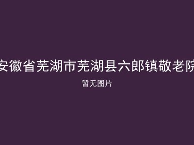安徽省芜湖市芜湖县六郎镇敬老院