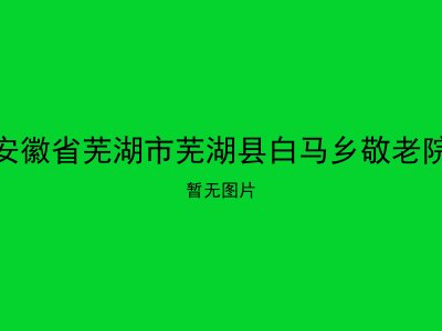 安徽省芜湖市芜湖县白马乡敬老院