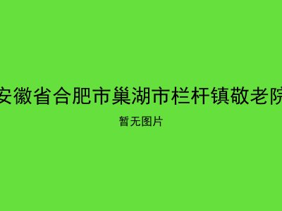 安徽省合肥市巢湖市栏杆镇敬老院