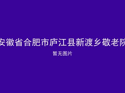 安徽省合肥市庐江县新渡乡敬老院